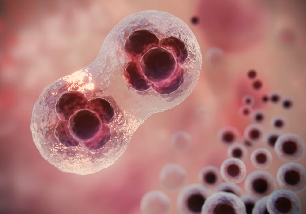 Ostrogen hos jenter med ADHD