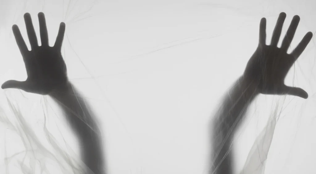 Paranoid Personlighetsforstyrrelse